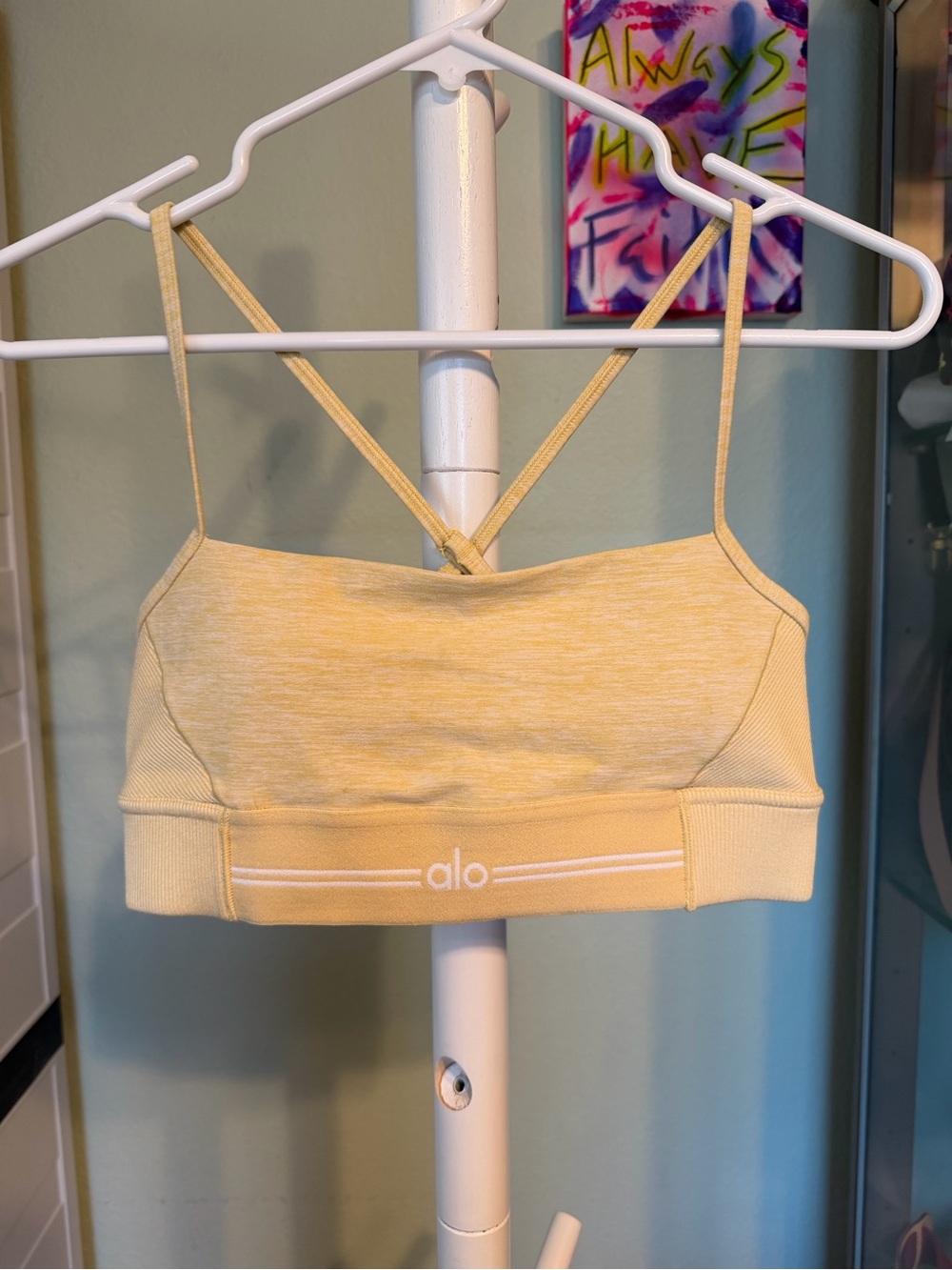 NWOT Alo Sports Bra